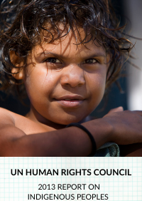 Access to justice in the promotion and protection of the rights of Indigenous Peoples